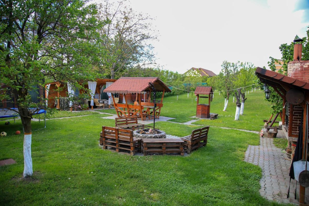 Affittacamere House Garden Turda
